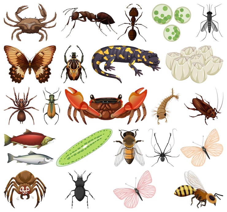 Vector gratuito diferentes tipos de insectos y animales sobre fondo blanco.