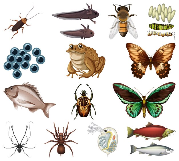 Diferentes tipos de insectos y animales sobre fondo blanco.