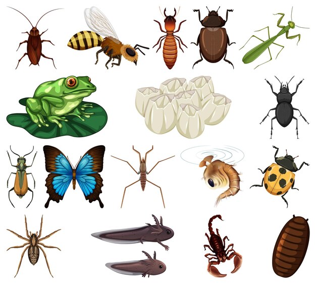 Diferentes tipos de insectos y animales sobre fondo blanco.