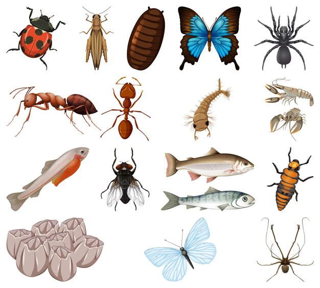 Diferentes tipos de insectos y animales sobre fondo blanco.