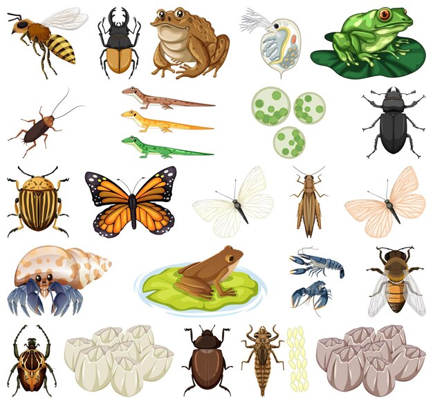 Diferentes tipos de insectos y animales sobre fondo blanco.