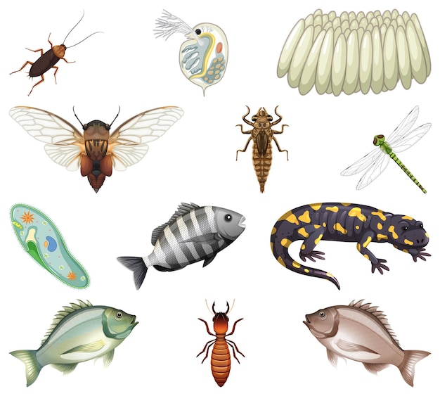 Vector gratuito diferentes tipos de insectos y animales sobre fondo blanco.