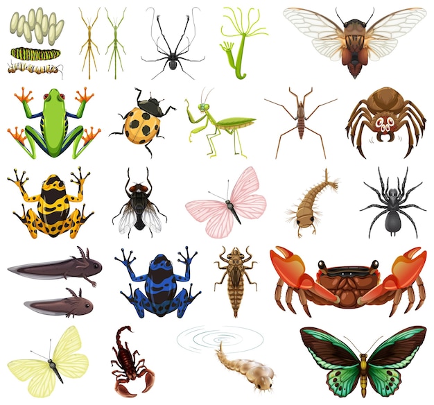 Vector gratuito diferentes tipos de insectos y animales sobre fondo blanco.