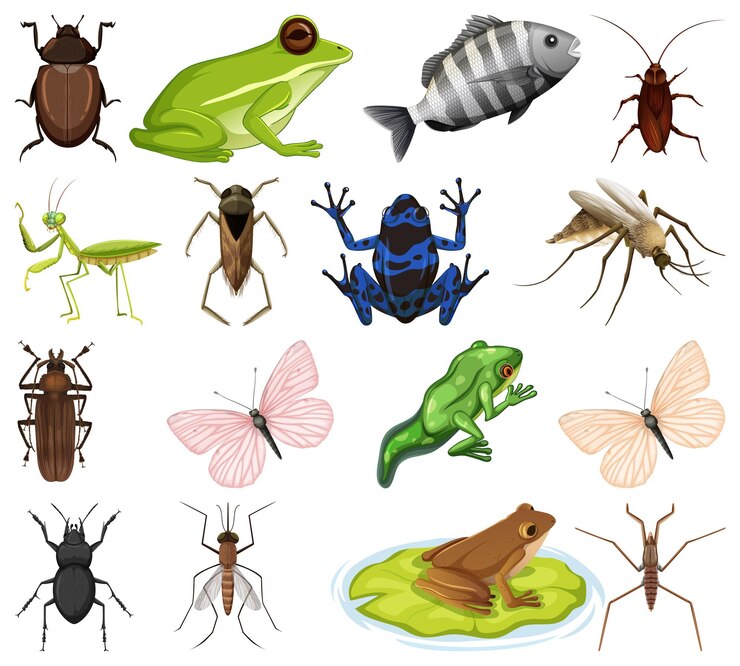 Vector gratuito diferentes tipos de insectos y animales sobre fondo blanco.
