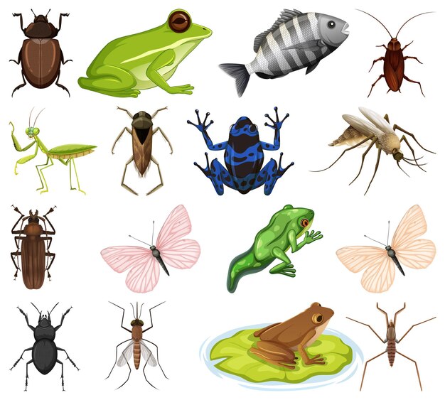 Diferentes tipos de insectos y animales sobre fondo blanco.