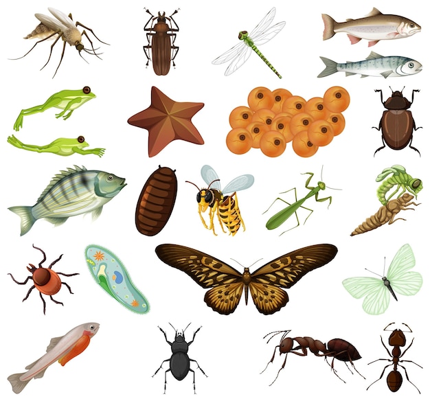 Diferentes tipos de insectos y animales sobre fondo blanco.