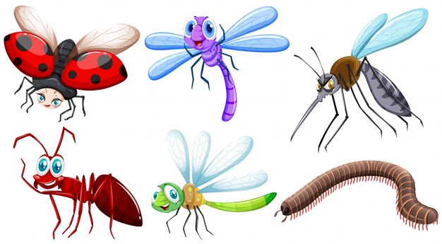 Diferentes tipos de insectos ilustración