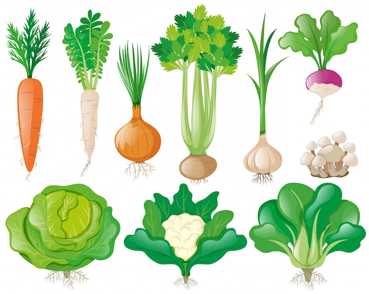 Vector gratuito diferentes tipos de verduras