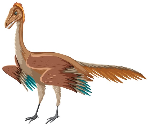 El dinosaurio Archaeopteryx en un fondo blanco