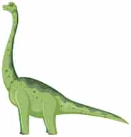 Vector gratuito dinosaurio brachiosaurus sobre fondo blanco