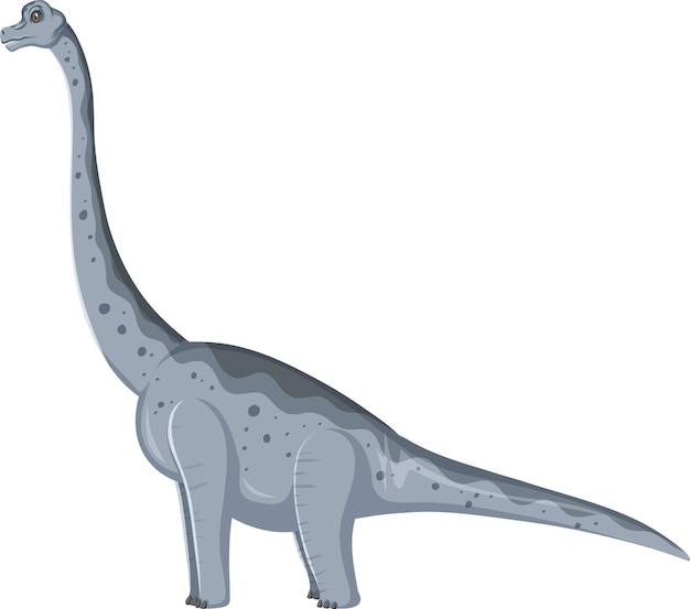 Dinosaurio brachiosaurus sobre fondo blanco