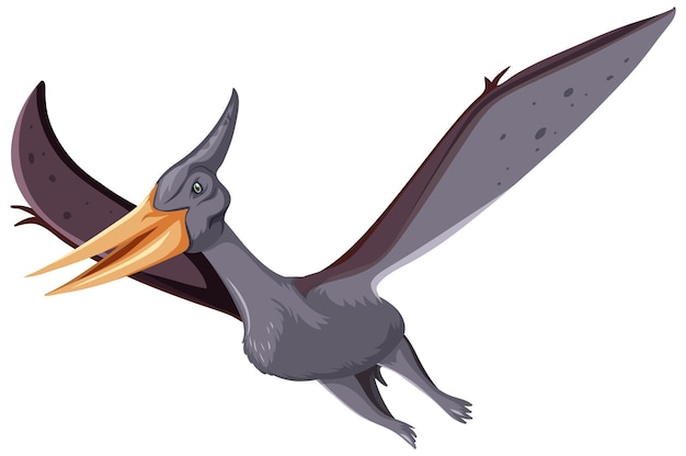 Un dinosaurio pteranodon sobre fondo blanco.
