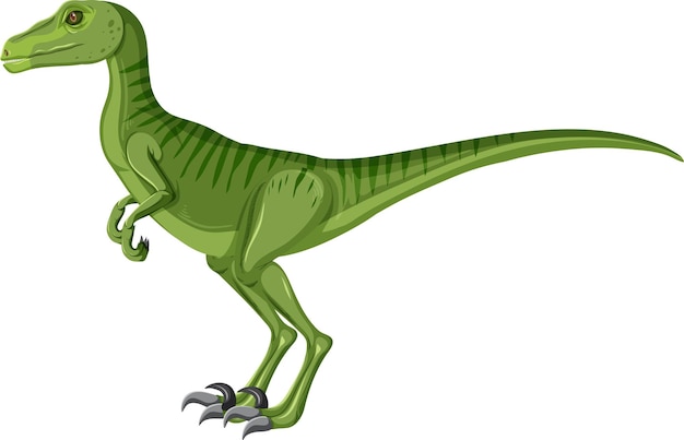 Dinosaurio Velociraptor sobre fondo blanco.