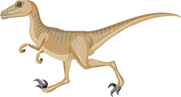 Dinosaurio Velociraptor sobre fondo blanco.