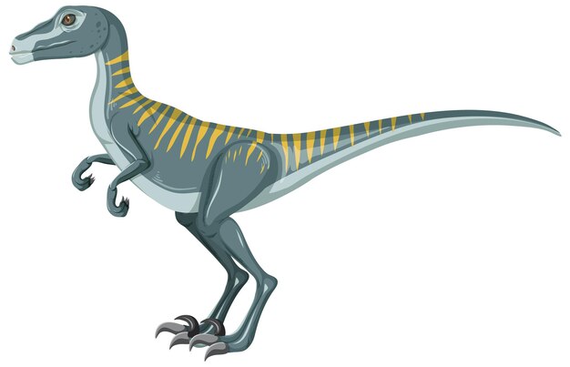 Dinosaurio Velociraptor sobre fondo blanco.