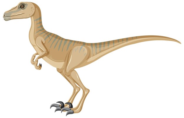 Dinosaurio Velociraptor sobre fondo blanco.