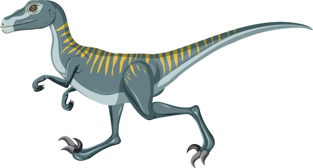 Dinosaurio velociraptor sobre fondo blanco.