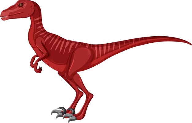 Dinosaurio Velociraptor sobre fondo blanco.