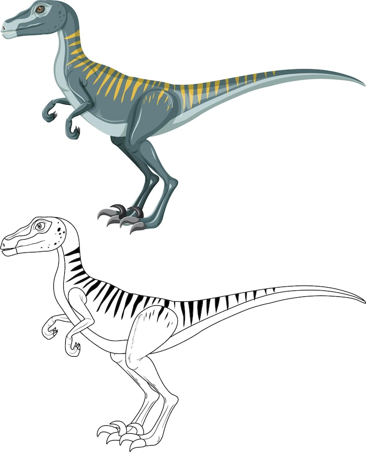 Vector gratuito dinosaurio velociraptor con su contorno de garabato sobre fondo blanco