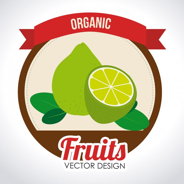 Vector gratuito diseño de alimentos