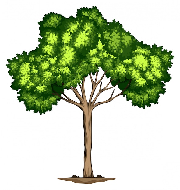 Vector gratuito un diseño de árbol sobre fondo blanco