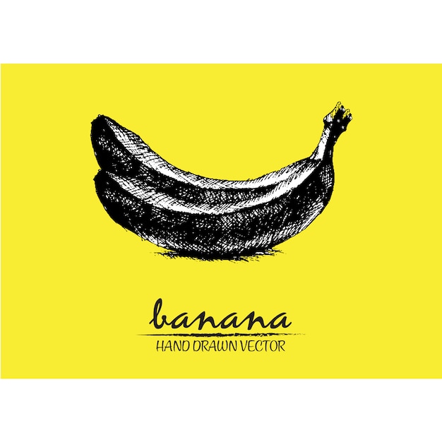 Diseño de bananas dibujadas a mano