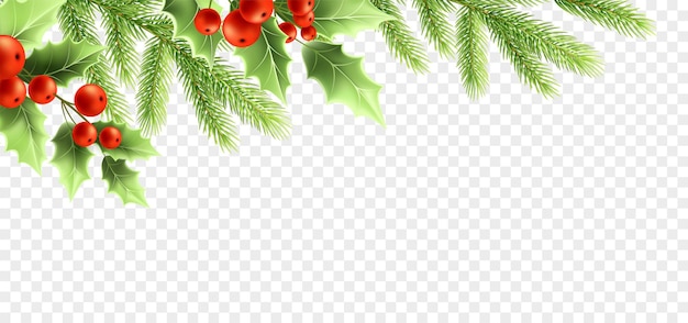 Diseño de banner de decoraciones realistas de Navidad. Ramas de los árboles de acebo con hojas verdes y frutos rojos, ramitas de abeto sobre fondo transparente. Tarjeta de felicitación, elemento de diseño de carteles. Vector aislado de color