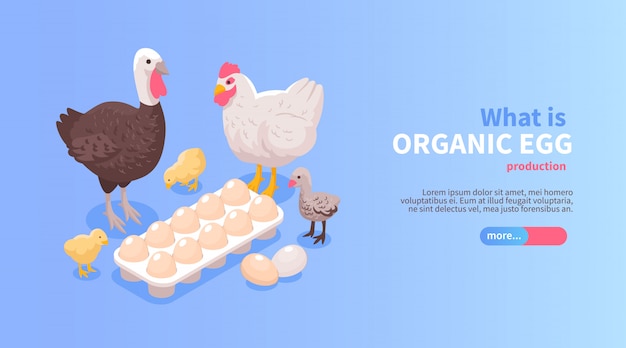 Diseño de banner de sitio web horizontal isométrico de producción avícola con huevos orgánicos pollo carne de pavo oferta