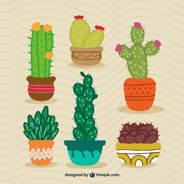 Diseño de cactus dibujados a mano