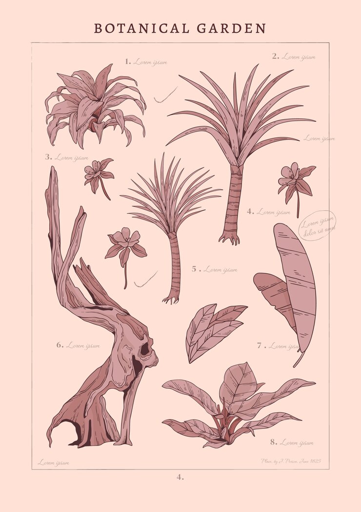 Vector gratuito diseño de cartel de jardín botánico.
