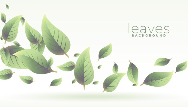 diseño de carteles de pétalos verdes botánicos y herbales