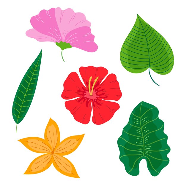 Diseño de colección de hojas y flores tropicales.