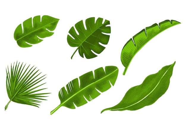 Diseño de conjunto de hojas verdes de plantas tropicales realistas