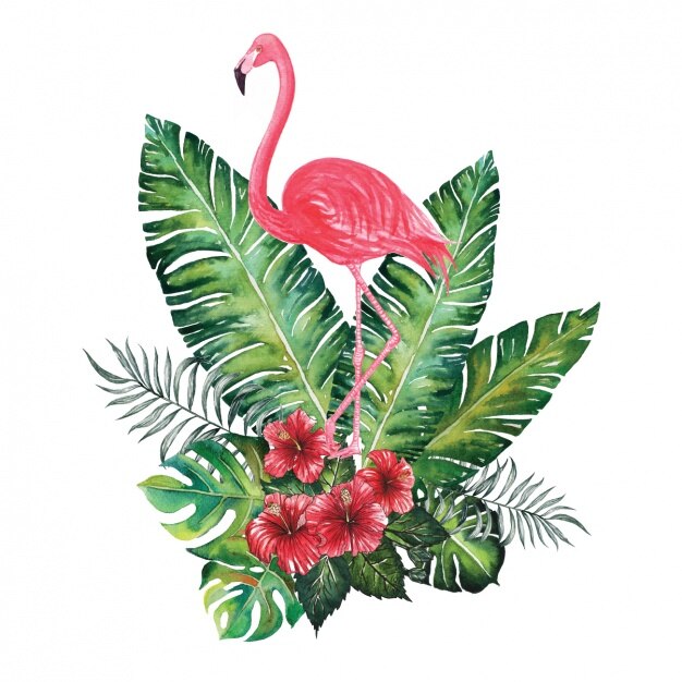 Diseño decorativo de flamenco en acuarela