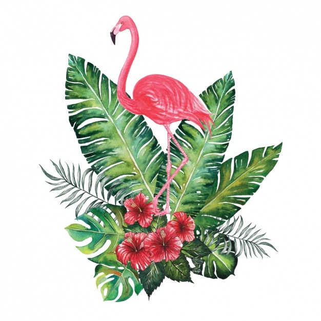Diseño decorativo de flamenco en acuarela