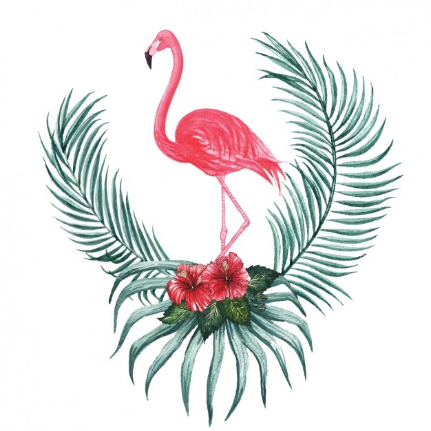 Vector gratuito diseño decorativo de flamenco en acuarela