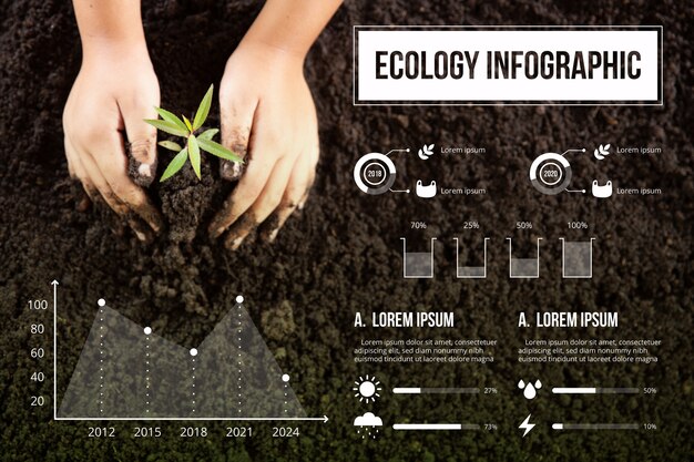 Diseño ecológico infográfico con foto