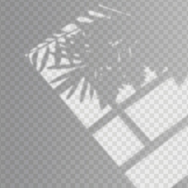 Diseño de efecto de superposición de sombras transparentes