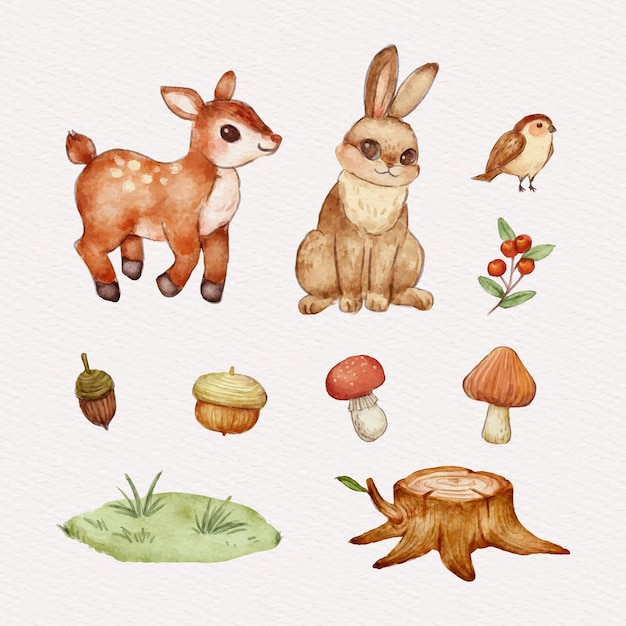 Diseño de escenografía de animales del bosque de acuarela