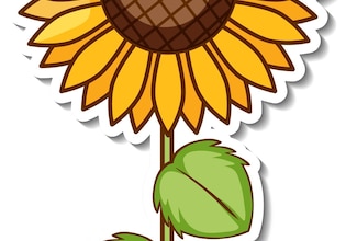 clip art de girasol