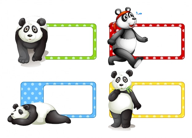 Diseño de etiquetas con ilustración de pandas