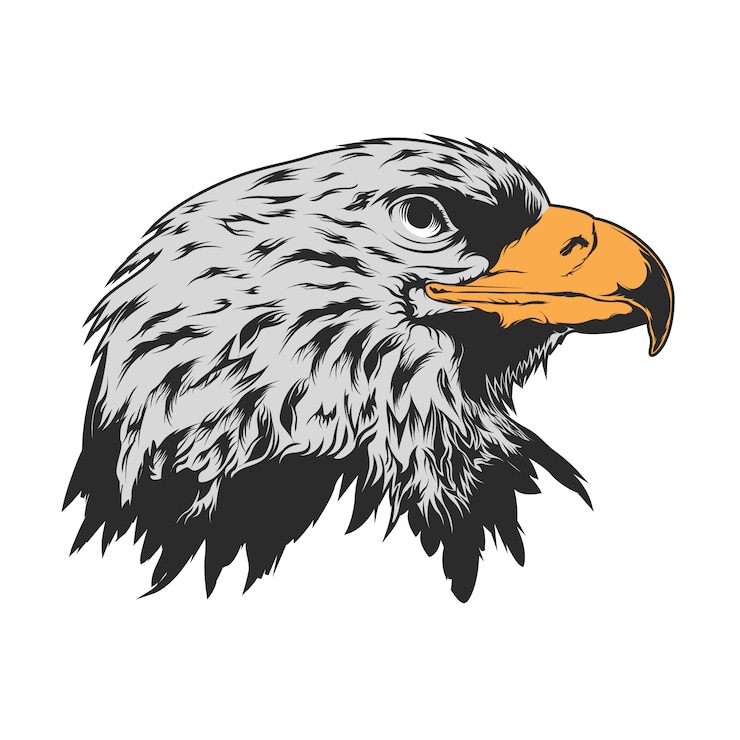 Vector gratuito diseño de fondo de cabeza de águila