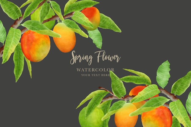 diseño de fondo de fruta de mango dibujado a mano