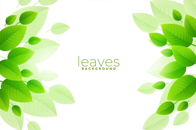 Diseño de fondo de hojas verdes brish