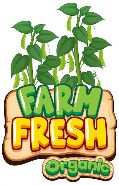 Diseño de fuente para granja fresca de palabra con judías verdes