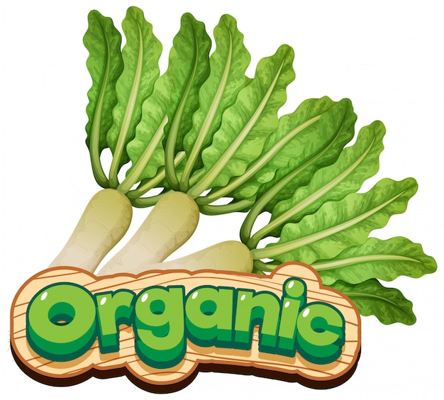 Vector gratuito diseño de fuente para palabra orgánica con vegetales frescos