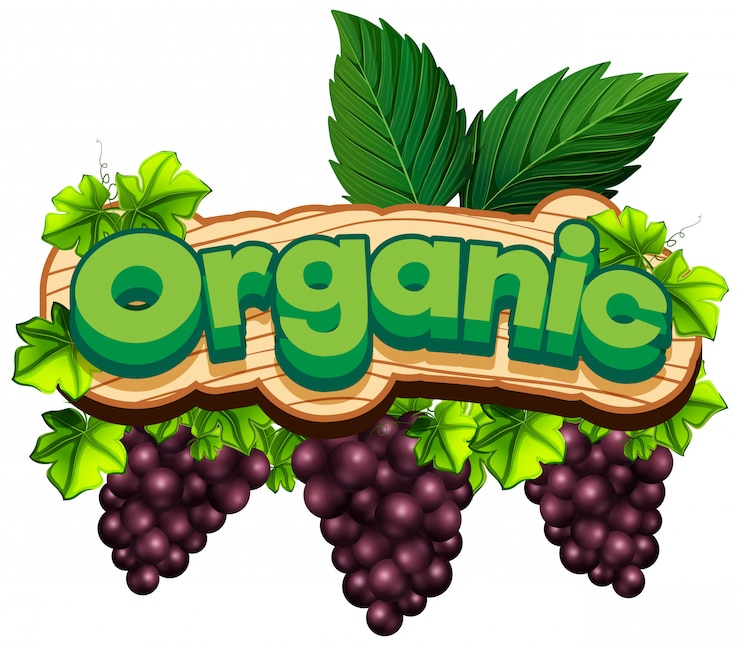 Vector gratuito diseño de fuente para la palabra orgánico con uvas frescas