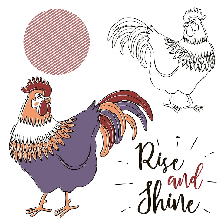 Vector gratuito diseño de gallo a color