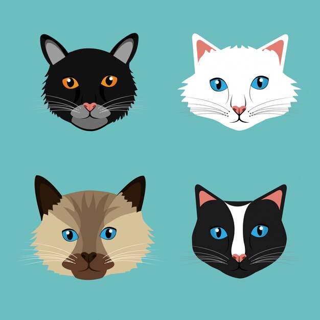 Diseño de gato mascota.