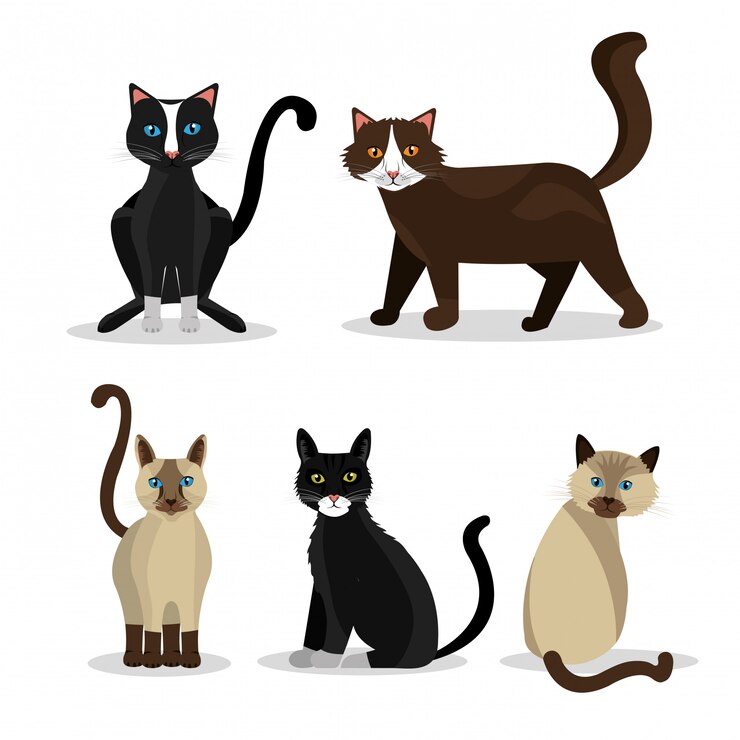 Vector gratuito diseño de gato mascota.
